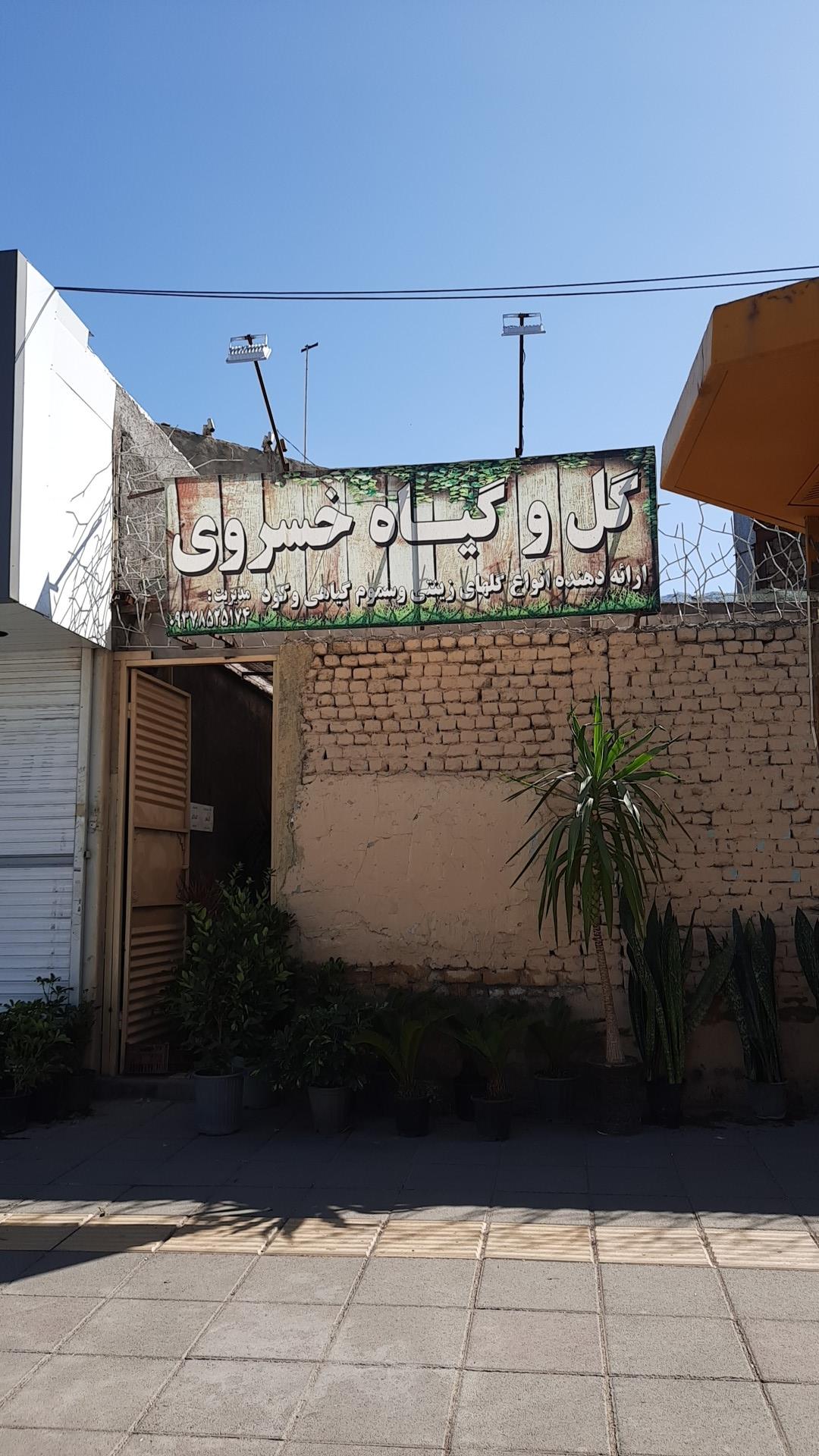 عکس گل و گیاه خسروی 