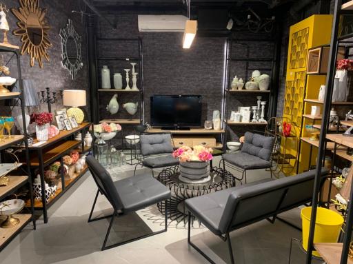 عکس واردات و پخش لوازم دکوری و تزئینی خانه آرا