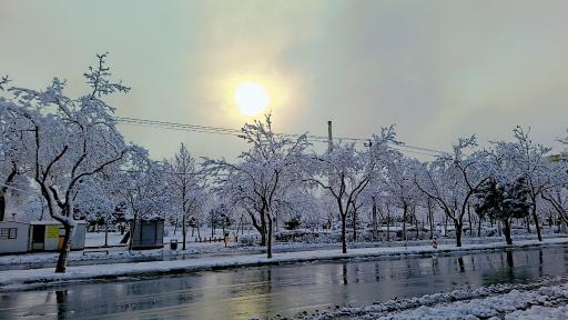 بوستان بهشت (گلشور)