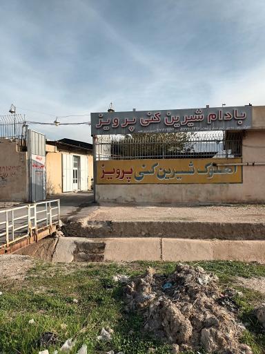 عکس بادام شیرین کنی پرویز