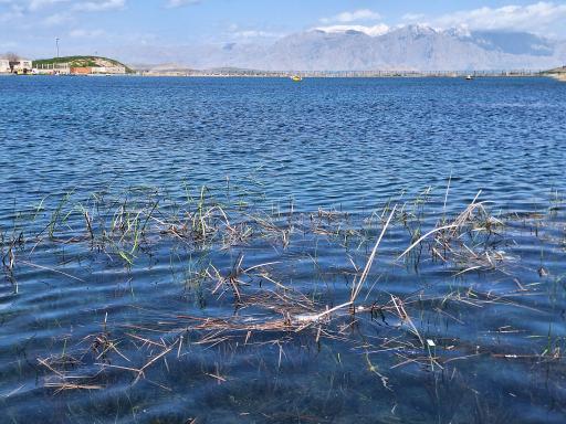 عکس دریاچه سراب نيلوفر