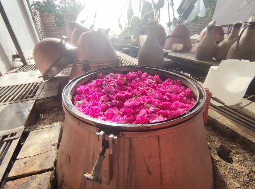 عکس گلاب افتخاریان