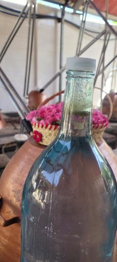 عکس گلاب افتخاریان