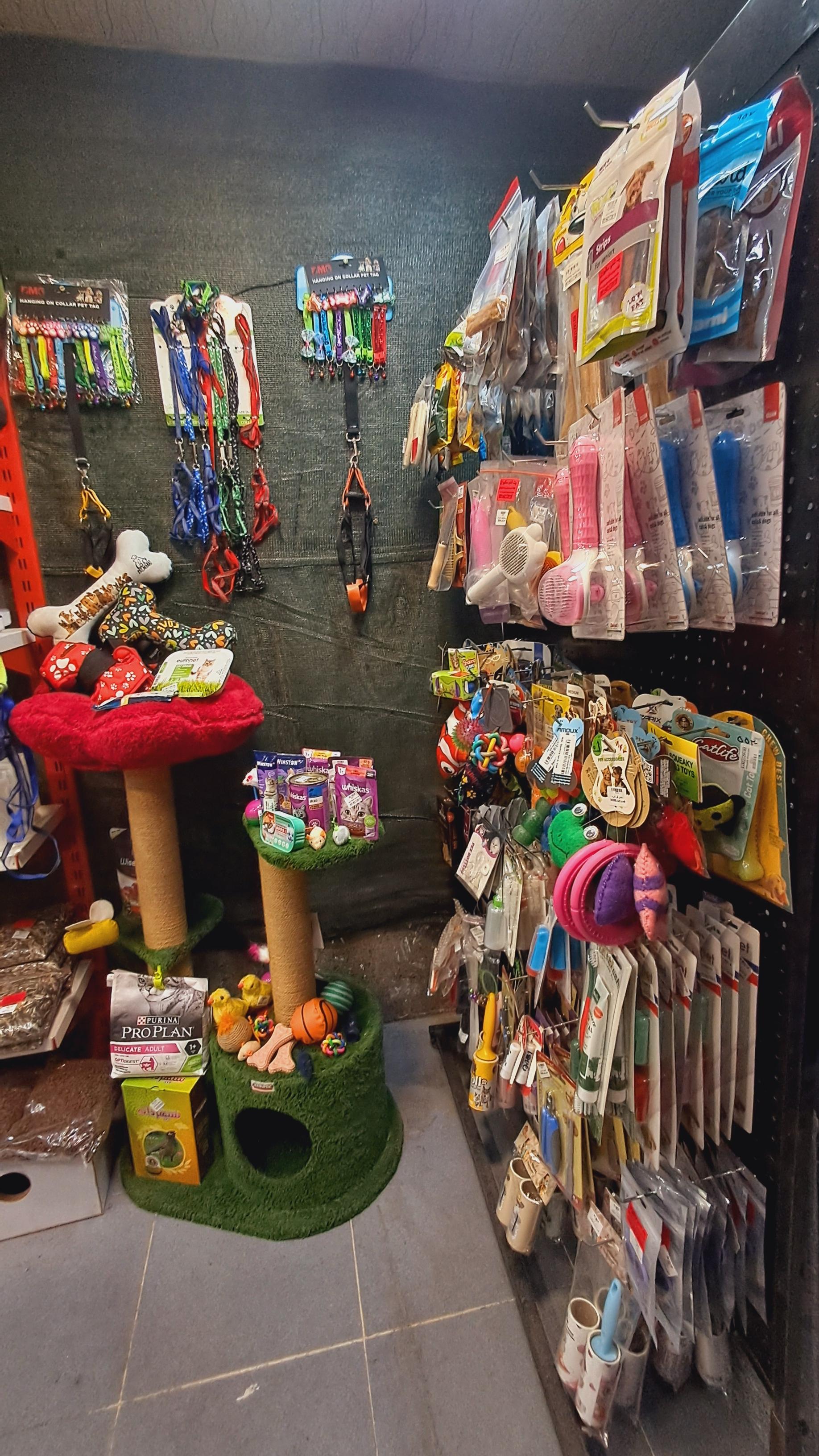 عکس پت شاپ سالیوان