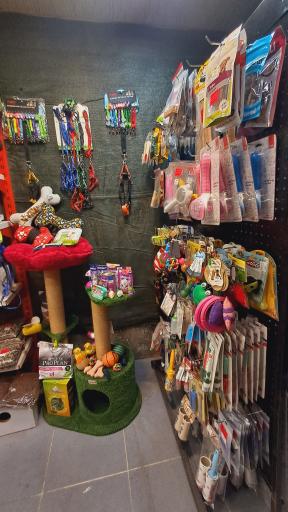 پت شاپ سالیوان