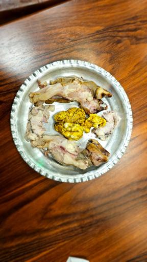 عکس طباخی هم رفیق