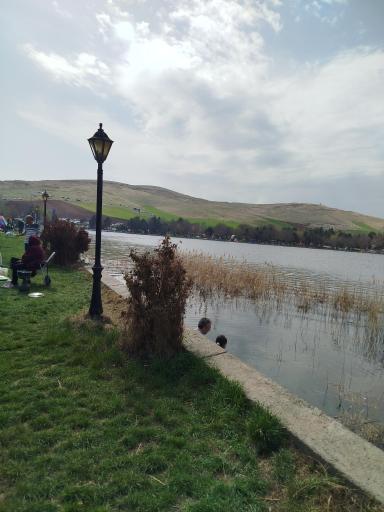 عکس دریاچه سراب نيلوفر