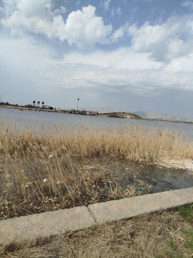 عکس دریاچه سراب نيلوفر