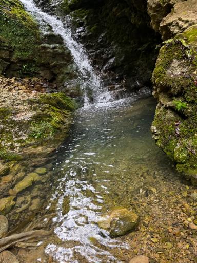 عکس چشمه گردوک