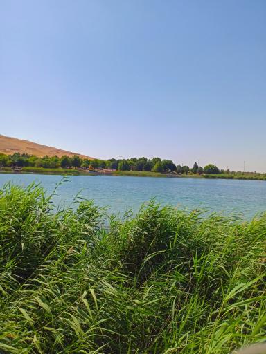 عکس دریاچه سراب نيلوفر