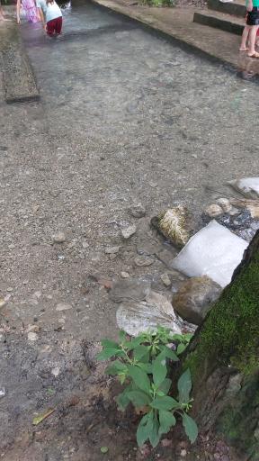 عکس چشمه گردوک