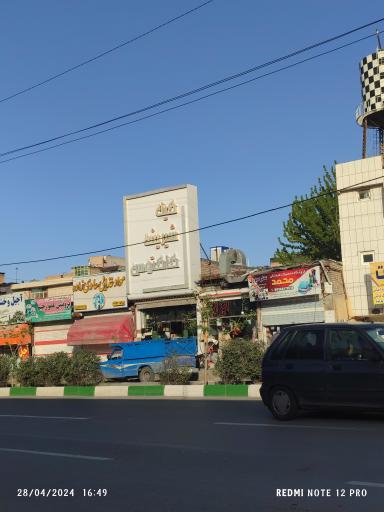 عکس کیک و شیرینی کاکتوس