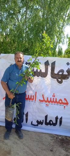 عکس نهالستان الماس البرز