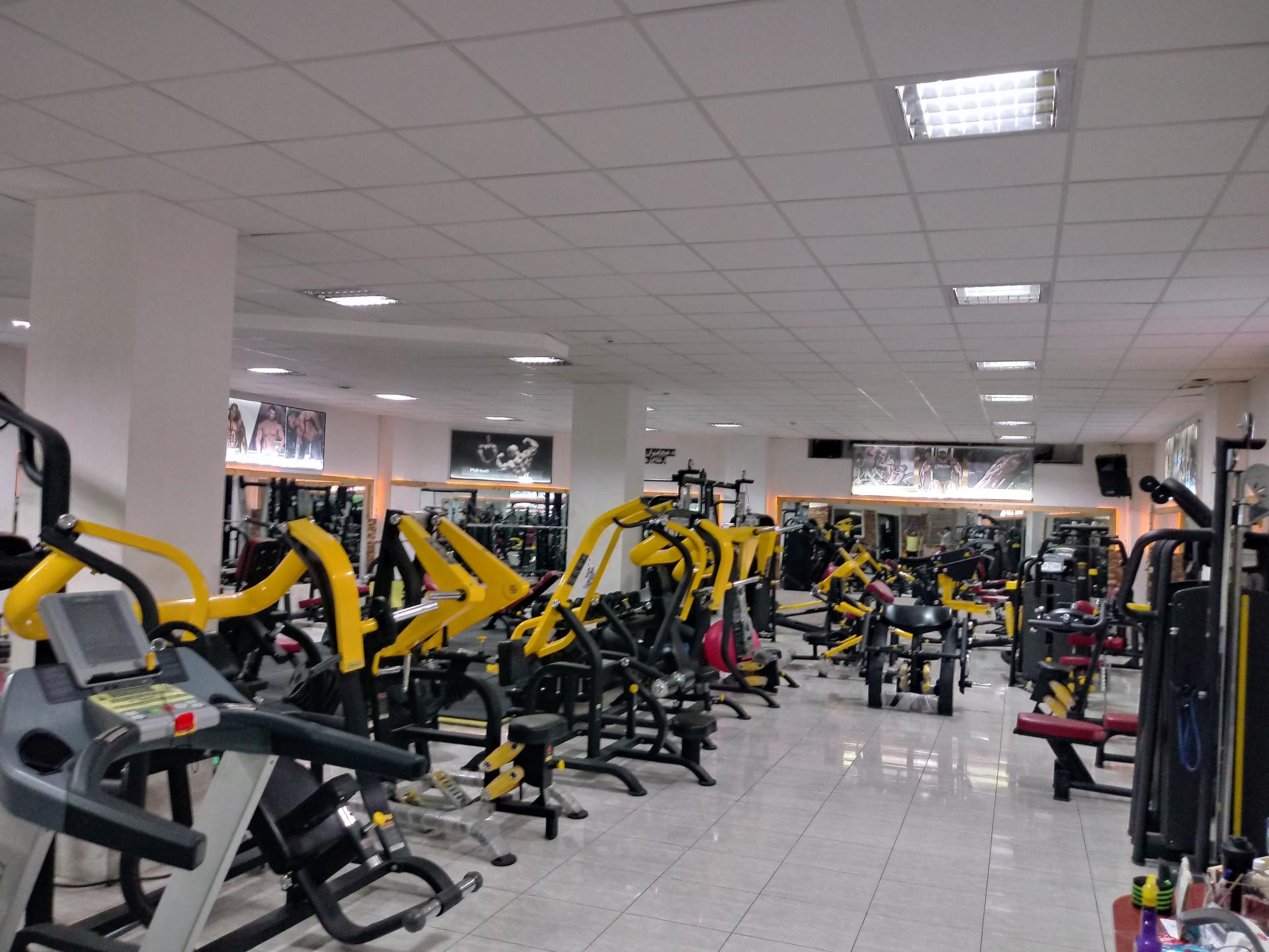 عکس باشگاه بدنسازی حس برتر