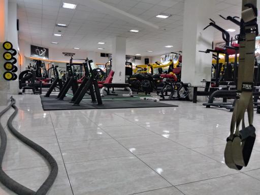 عکس باشگاه بدنسازی حس برتر