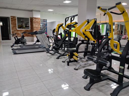 عکس باشگاه بدنسازی حس برتر