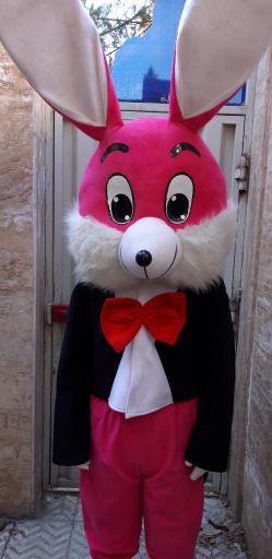 عکس تشریفات مدرن