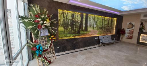 عکس مطب دکتر مالکی