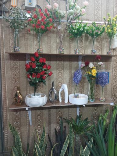 عکس گل سرای شمیم