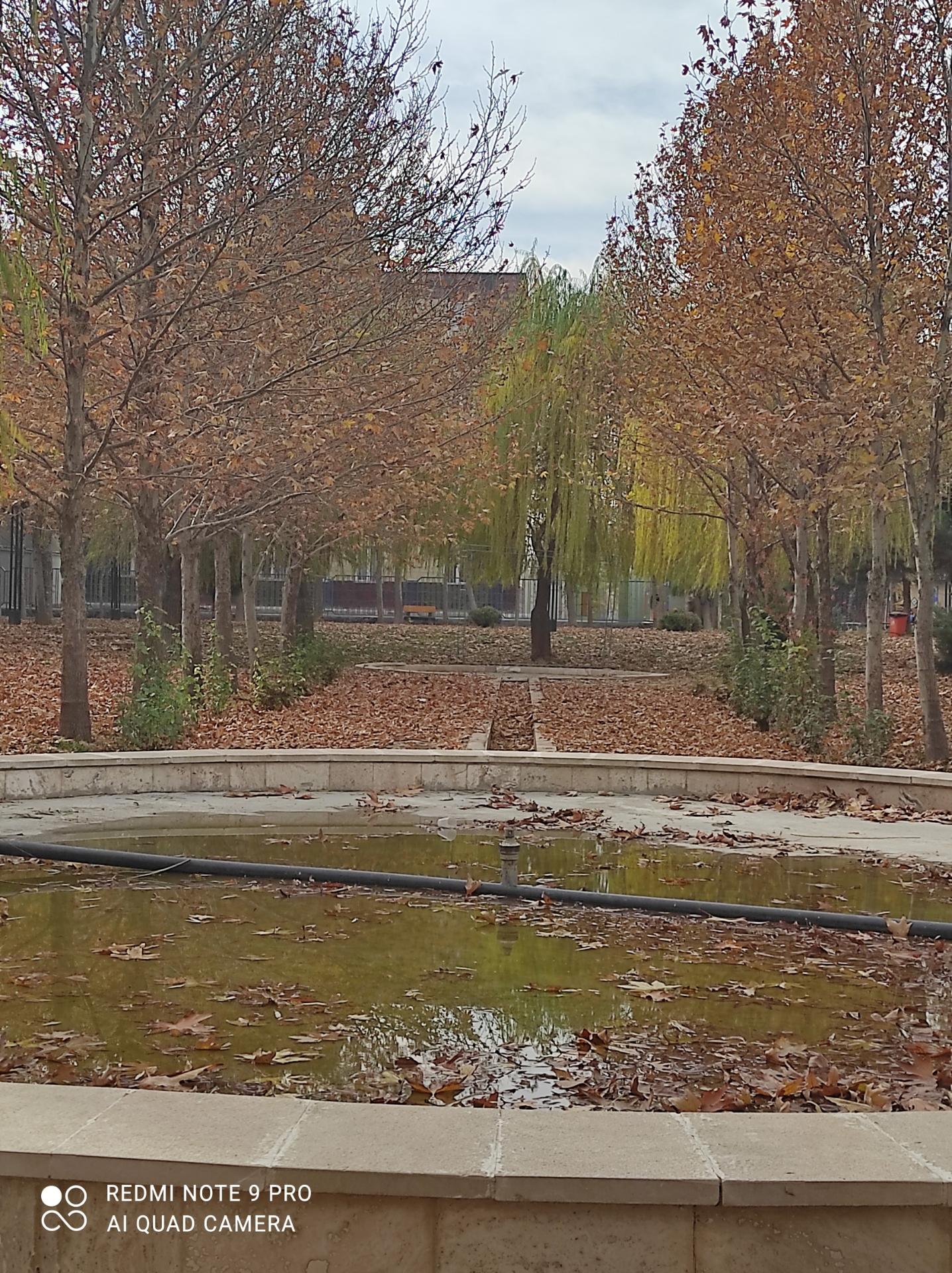 عکس پارک بانوان