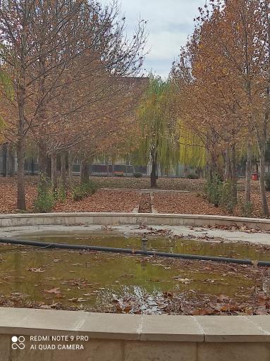 عکس پارک بانوان