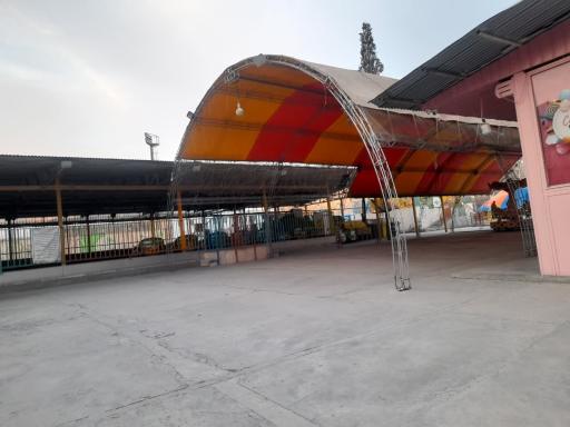 عکس بوستان نرگس