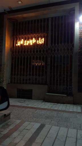 عکس برق خودرو امیر