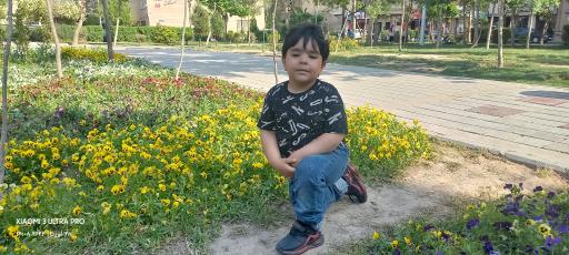 بوستان نرگس