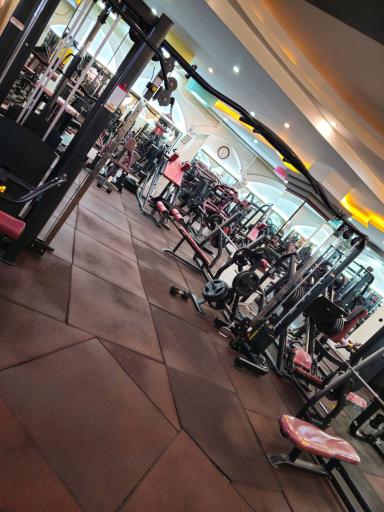 عکس آکادمی بدنسازی و فیتنس رادین