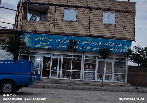 عکس پرنده فروشی متین