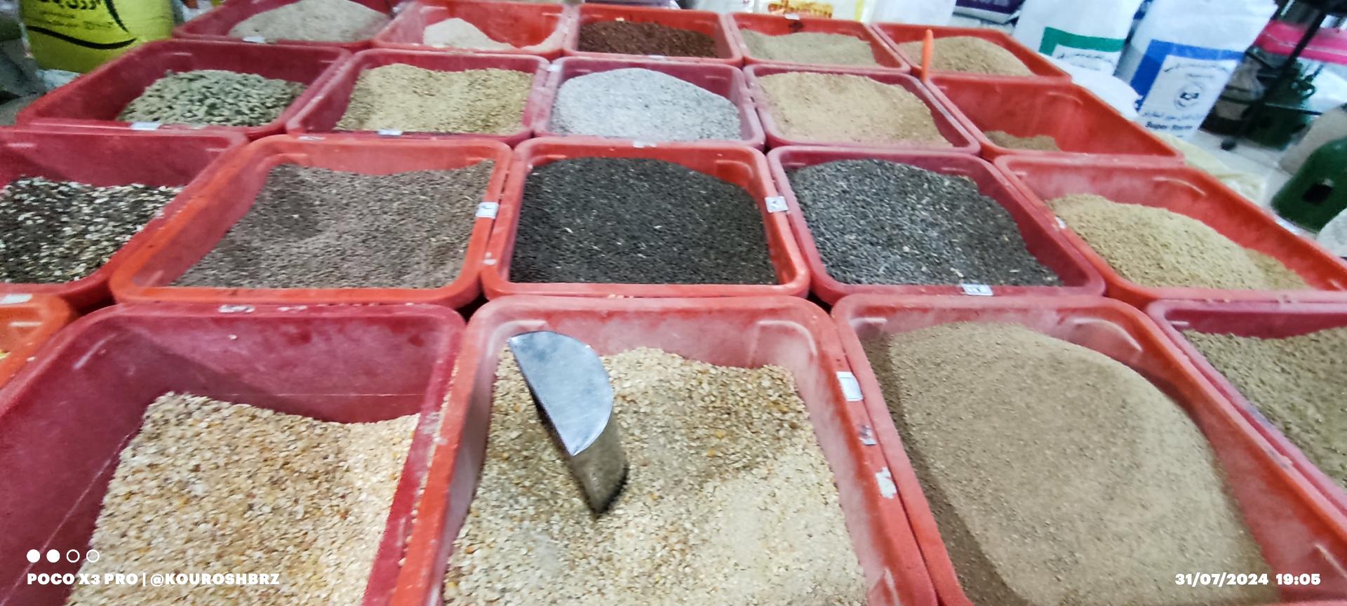 عکس پرنده فروشی متین