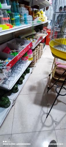 عکس پرنده فروشی متین