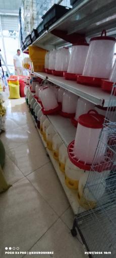 عکس پرنده فروشی متین