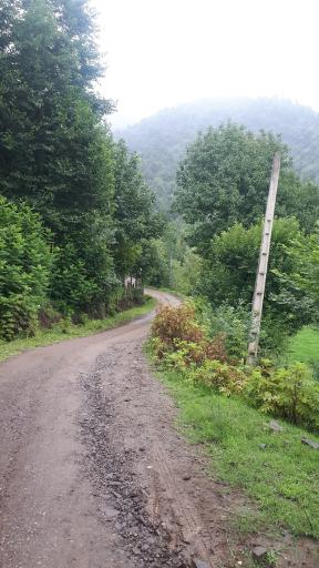 عکس دیورش