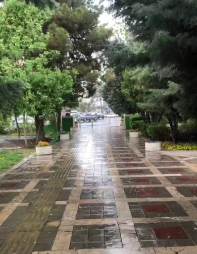 عکس بوستان نرگس