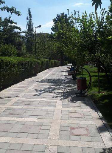 عکس بوستان نرگس