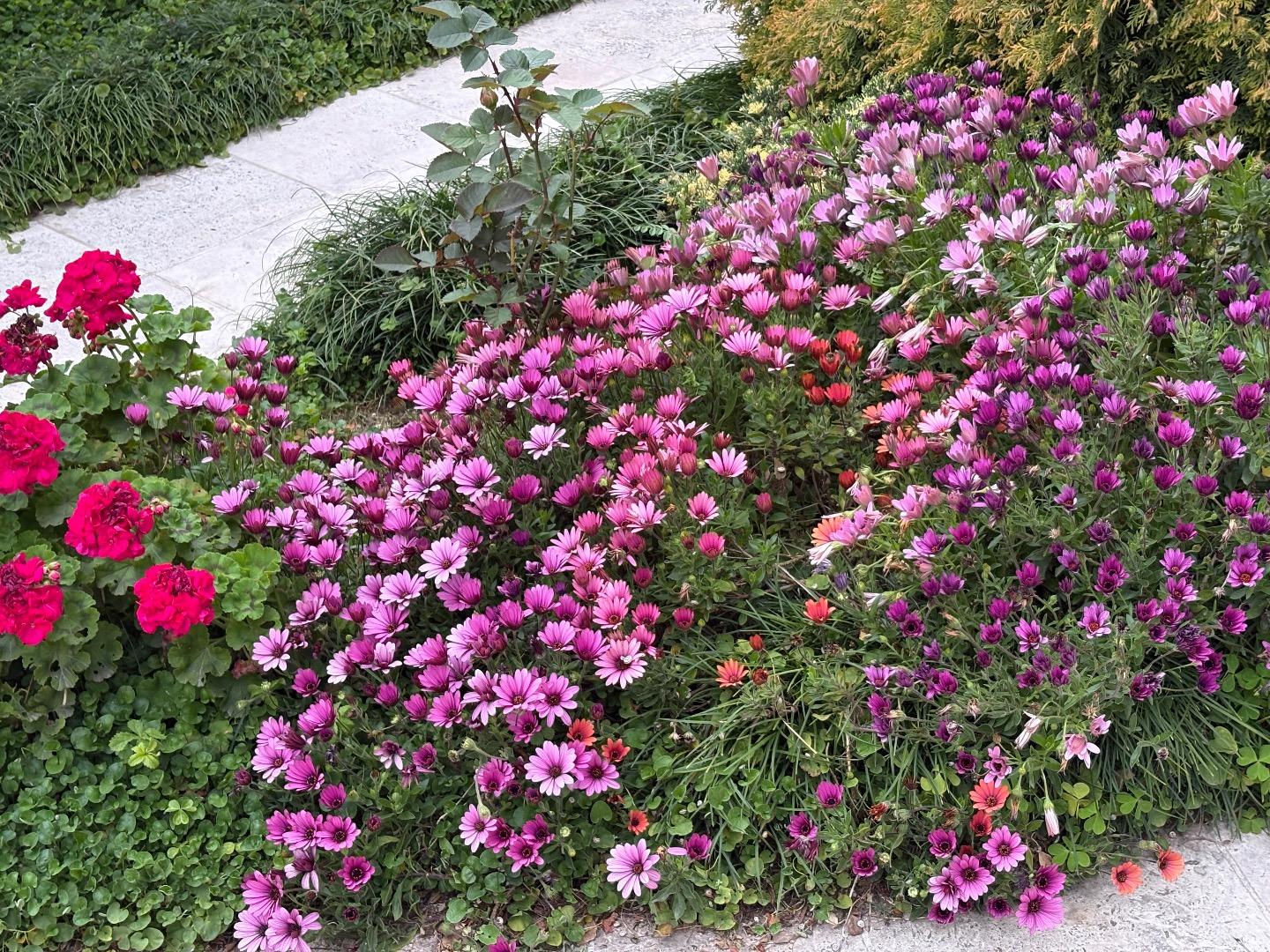 عکس مجتمع نیاوران
