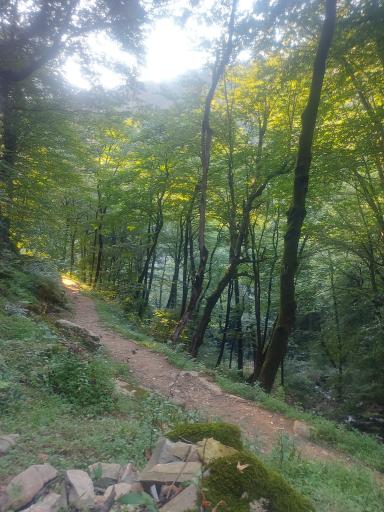 عکس دیورش