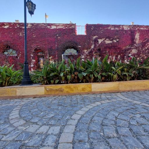 عکس دریاچه پارک عسل