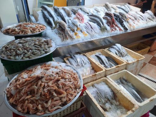 عکس فروشگاه ماهی رستگار