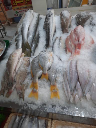 عکس فروشگاه ماهی رستگار