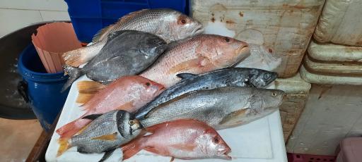 عکس فروشگاه ماهی رستگار