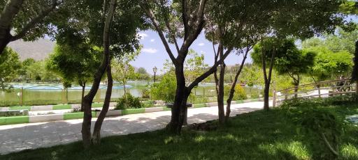 عکس دریاچه پارک عسل