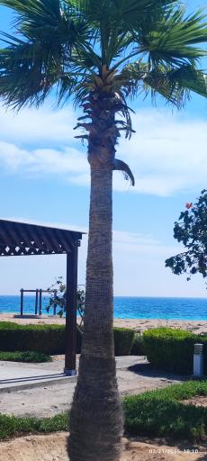 عکس پارک ساحلی طلوع