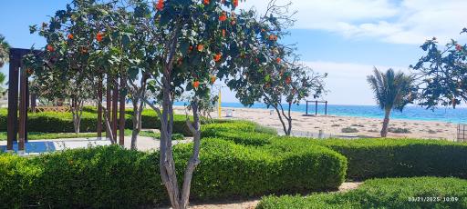 عکس پارک ساحلی طلوع