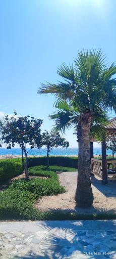 پارک ساحلی طلوع