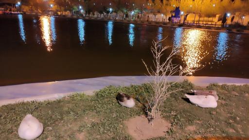 عکس 9 — دریاچه پارک عسل
