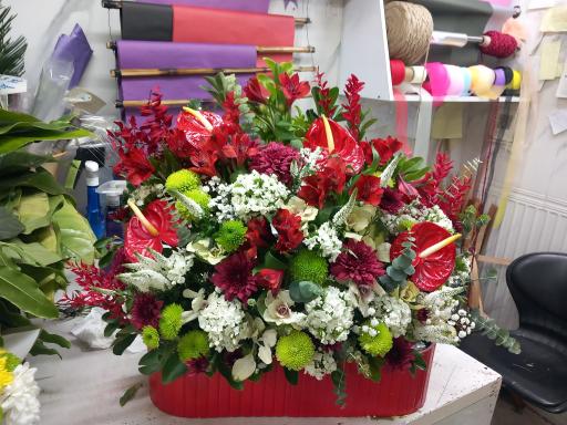 عکس گلسرای رز