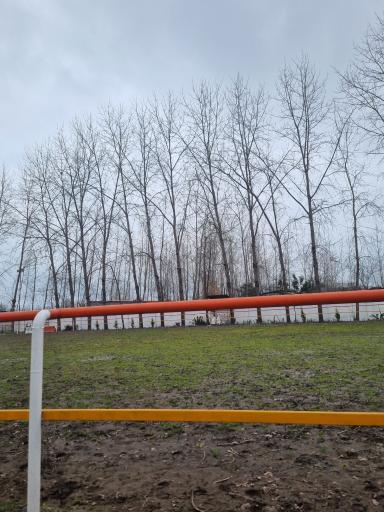 عکس باشگاه سوارکاری تکتاز