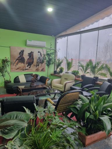 عکس باشگاه سوارکاری تکتاز